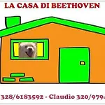 La Casa Di Beethoven Semesterbostad Acquarica del Capo